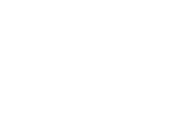 Niedersachen Digitalagentur NEXT - Logo weiß
